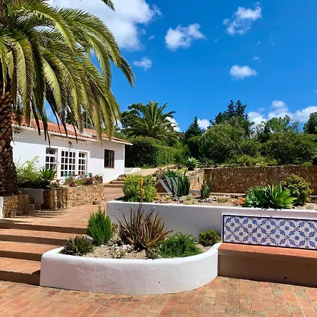 O Ninho Semesterbostad